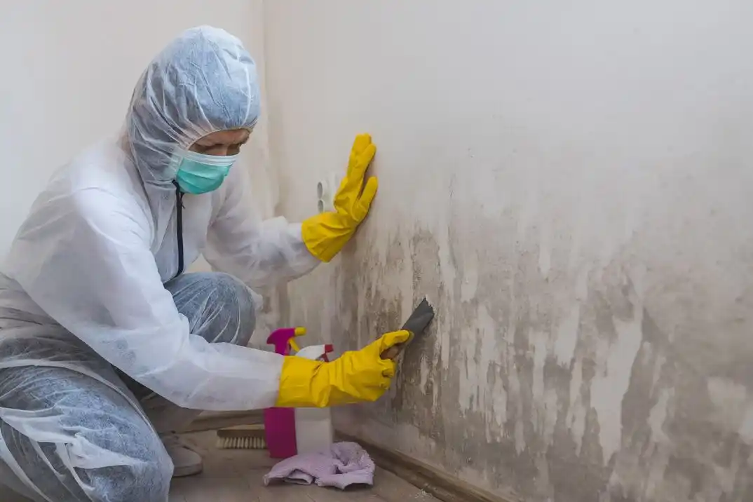 water damage restoration service North Raleigh